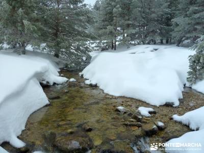 Raquetas de Nieve - Puerto de Cotos; viajes y aventura; actividades de verano;senderismo sierra guad